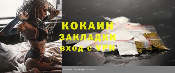 амф Козельск