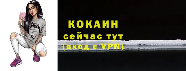 индика Кодинск