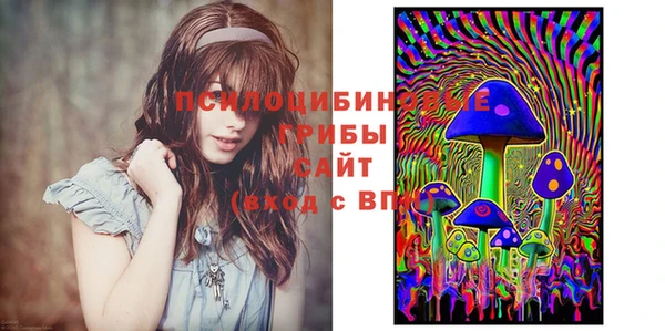 jwh Костерёво