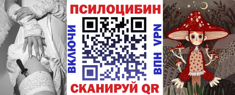 продажа наркотиков Сураж kraken Псилоцибиновые грибы GOLDEN TEACHER